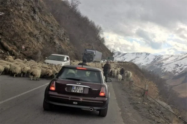 گواهینامه رانندگی ایرانی در گرجستان