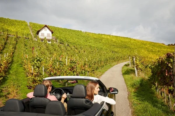 گواهینامه ایران در سوییس