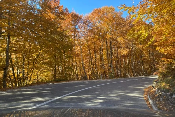 گواهینامه ایران در کشور صربستان