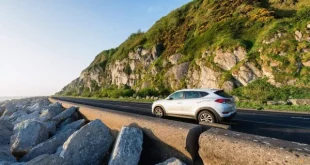 گواهینامه ایران در ایرلند