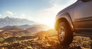 جریمه های رانندگی در گرجستان