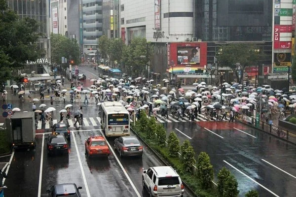 هزینه جریمه رانندگی در ژاپن