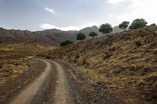 رانندگی در جاده خاکی